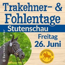 Ostsee-Trakehner