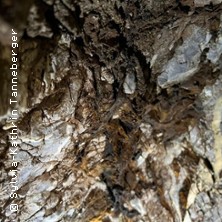 Ungel&ouml;st - R&auml;tsel aus der Vergangenheit