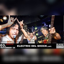 Electric Eel Shock | Rare Guitar