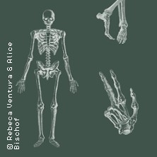Anatomie von Auge bis Zeh | Kunstraum Heartspace