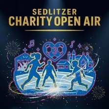 Sedlitzer Charity Open Air 3