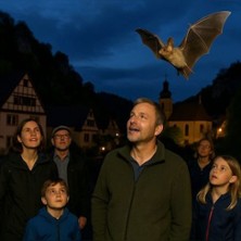 Fledermausf&uuml;hrung in Pottenstein - Das Geheimnis der Fledermausnacht