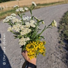 Wildkr&auml;uter f&uuml;r die Hausapotheke