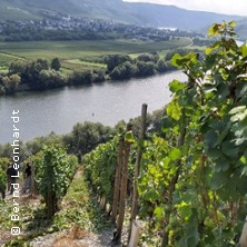 Die Mosel - viel mehr als "nur" Riesling | Vin Coeur de Lion Kassel