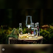 Gin Tasting - Black Forest Bar Academy