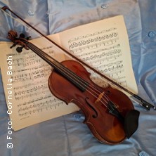 Mit Strau&szlig; durch die Nacht - 40. Sch&ouml;nberger Musiksommer