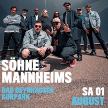 S&ouml;hne Mannheims