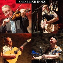 Old Blind Dogs