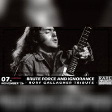 Brute Force and Ignorance - Rory Gallagher Tribute