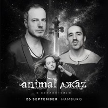 Animal Jazz