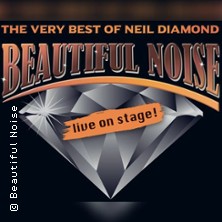 A Beautiful Noise