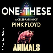 One Of These A celebration of Pink Floyd - Animals Tour