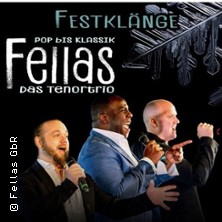 Festkl&auml;nge Fellas das Tenortrio | Von Pop bis Klassik ,Marvin Scott David Preis
