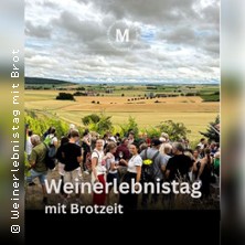 Weinerlebnistag mit fr&auml;nkischer Brotzeit und Weinverkostung | Meier Weinerlebnis