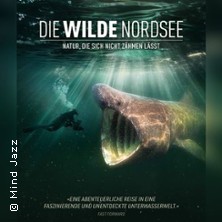 Die wilde Nordsee - Filmklubb Offenbach