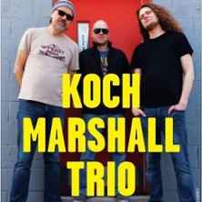Greg Koch