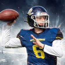 Hanau Hornets - Saison 2026