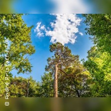 Waldbaden im Ostseeheilbad