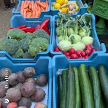 Fermentation - Workshop f&uuml;r Anf&auml;nger !