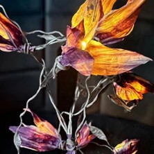 Kreativer Workshop Lichterzauber | Hagel and Beck