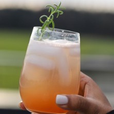 Open Bottle - Thema Gin