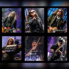 Dr. Woo&acute;s Rock`n`Roll Circus