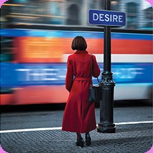 Endstation Sehnsucht - Theater Hof