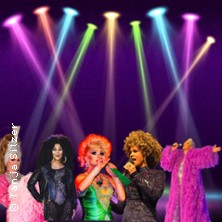 Die Mirage Show - die ultimative Revue Show