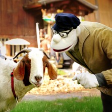 Werner Momsen - Momsen, Tiere, Sensationen