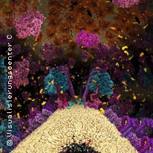 Die Chemie des Lebens 3D - Das Unsichtbare in uns | Planetarium Hamburg