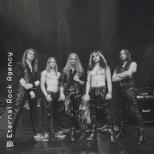 Wings Of Steel