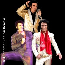 3x Elvis! Die gro&szlig;e Elvis-Zeitreise! - Shaky Everett, Oliver Steinhoff, Brian Tro