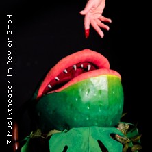 Der kleine Horrorladen - Musiktheater im Revier