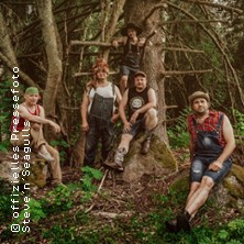 Steve 'n' Seagulls