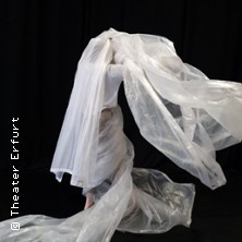 Paradise on your Shoulders