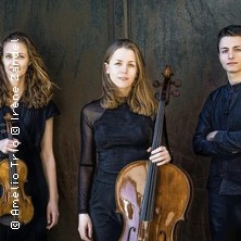 Rising Stars: Amelio Trio