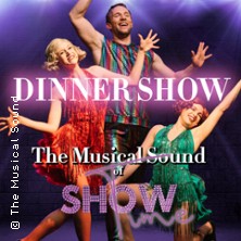 The Musical Sound