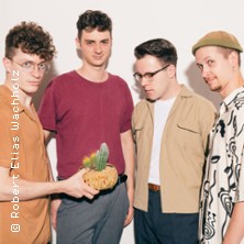 Cactus in a Garage - New Grooves - Same Old Moves