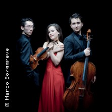 Amatis Trio - Kammermusik 2026/2027