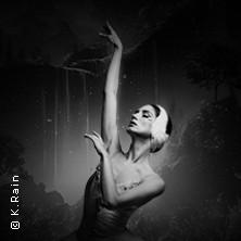 Grand Classic Ballet