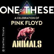One Of These &ndash; A celebration of Pink Floyd