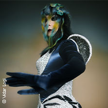 Bj&ouml;rk