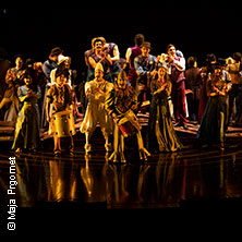 Cirque du Soleil OVO - Zusatzshow