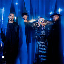 Hiatus Kaiyote