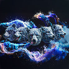 Man With A Mission
