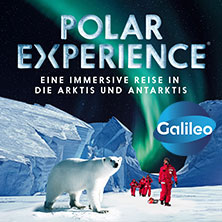 Polar Experience