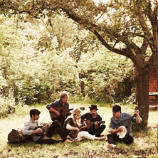 The Common Linnets