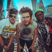 Too Many Zooz