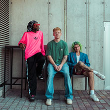 Too Many Zooz