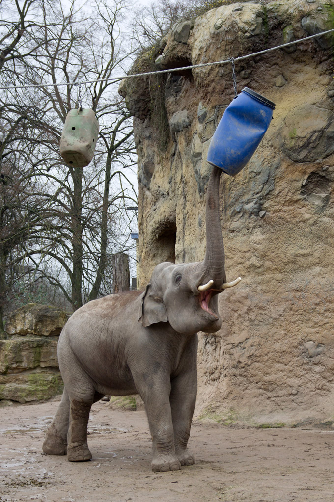 Zoo Leipzig